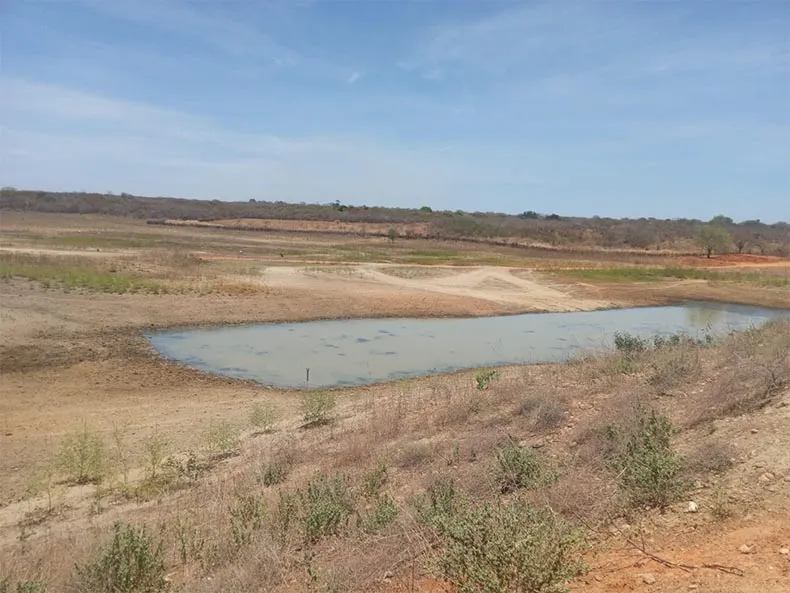 Famílias começam a racionar água e poços viram disputas entre povoados no semiárido do Piauí