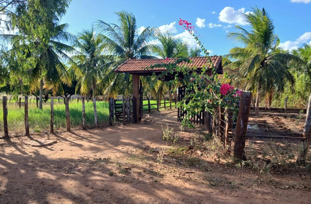 Chácara à venda em Oeiras, próxima ao IFPI, reúne casa ampla, acesso facilitado e estrutura completa