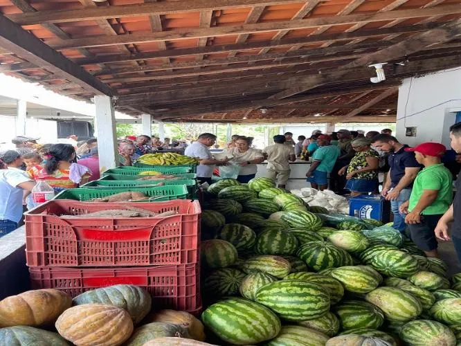 Segunda Feira Regional da Agricultura Familiar destaca produção e valoriza agricultores locais em Oeiras