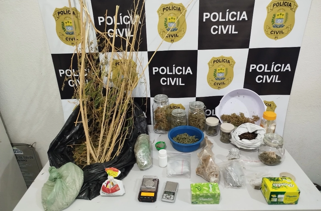 Justiça converte prisão em flagrante em preventiva de homem preso com maconha e ecstasy em Oeiras