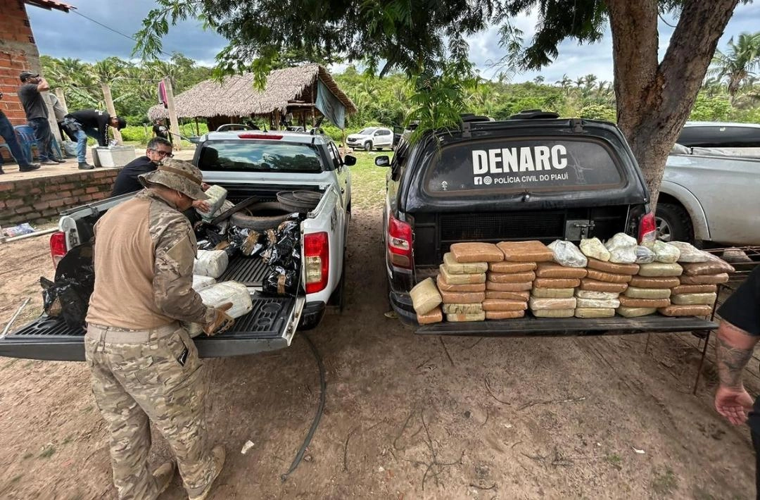 Denarc apreende mais de 730 kg de drogas no Piauí em 2026