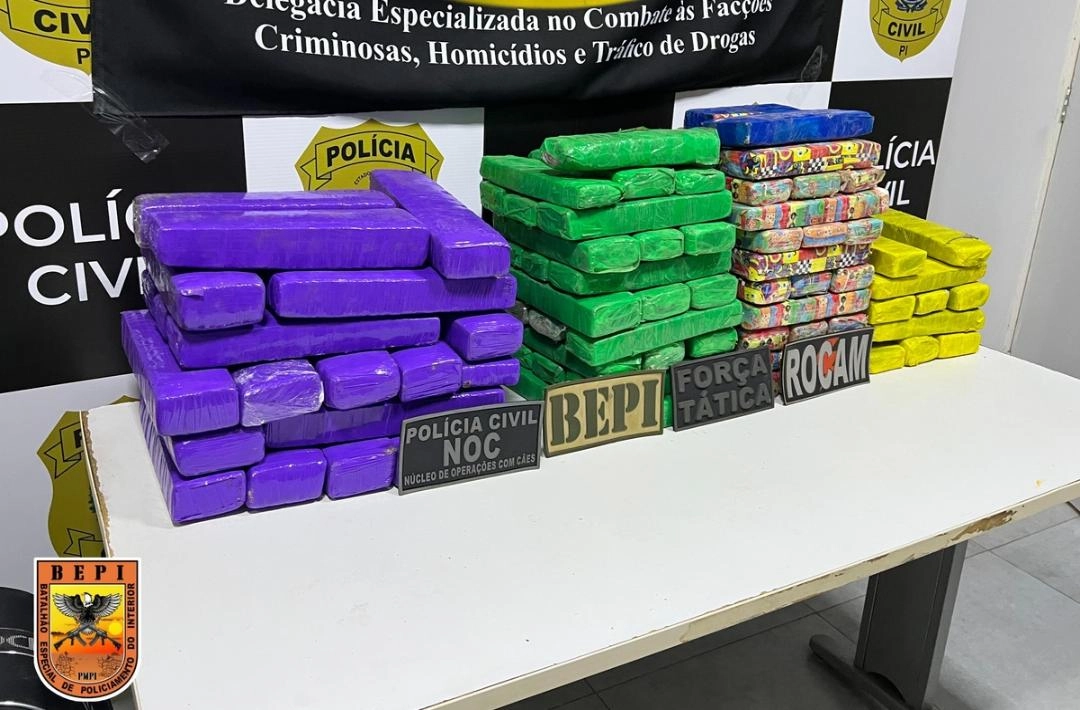 Polícia apreende mais de 100 tabletes de maconha durante operação em Picos