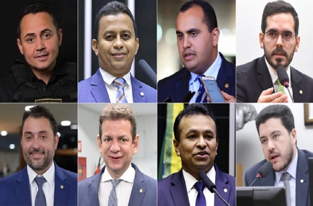 Pesquisa Amostragem: veja números para deputado federal no Piauí