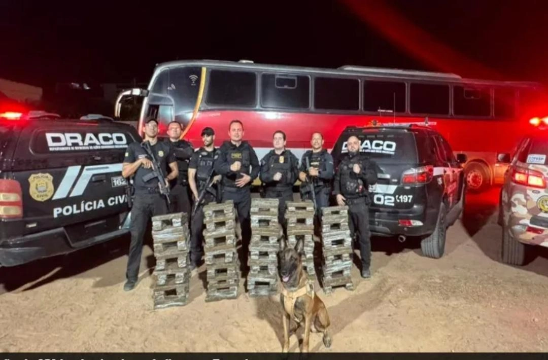SSP-PI Apreende 250 Kg de Maconha Avaliada em R$ 2 Milhões em Ônibus que Vinha do Rio de Janeiro