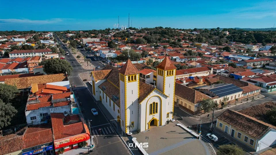 Piripiri: Prefeitura anuncia a construção de canil e gatil para animais