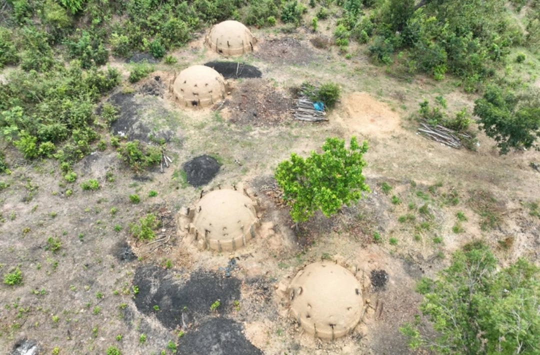 Operação detecta 400 hectares de vegetação nativa desmatada em Regeneração