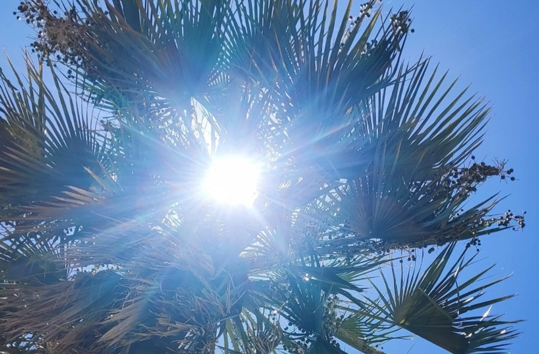 Oeiras chega aos 42°C e registra maior temperatura do Brasil nesta quarta-feira