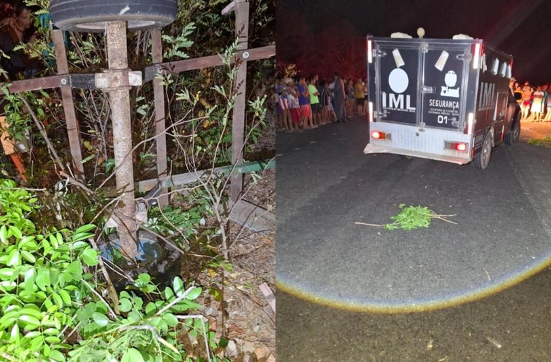 Carroceiro morre e família fica ferida após acidente com caminhão no Piauí