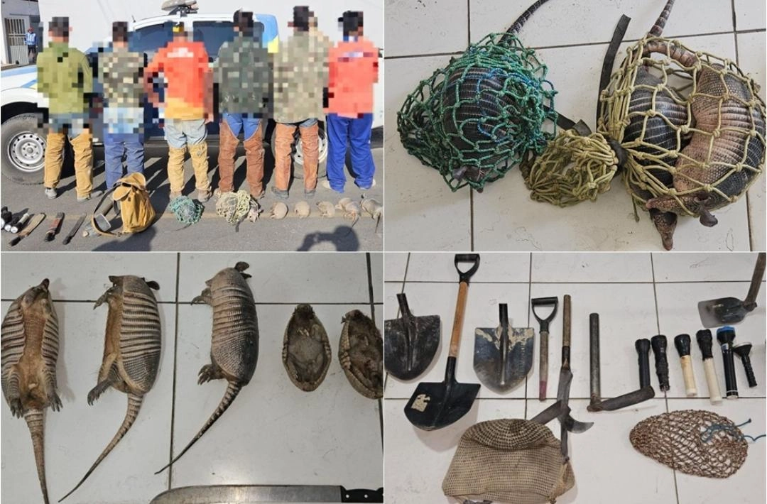 Polícia resgata animais, apreende caça e autua seis por crime ambiental no Piauí