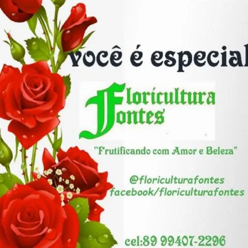 Dia das Mães: Surpreenda com presentes especiais da Floricultura Fontes