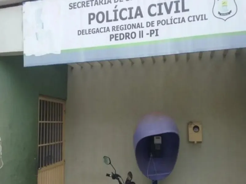Suspeito de agredir a própria mãe, de 70 anos, com socos é preso no Norte do Piauí