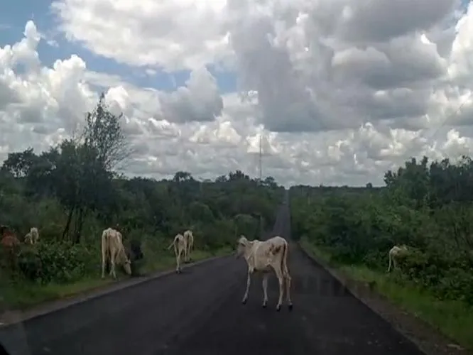 Adolescente filha do cantor Chacal sofre grave acidente de moto ao bater contra animal na PI 143