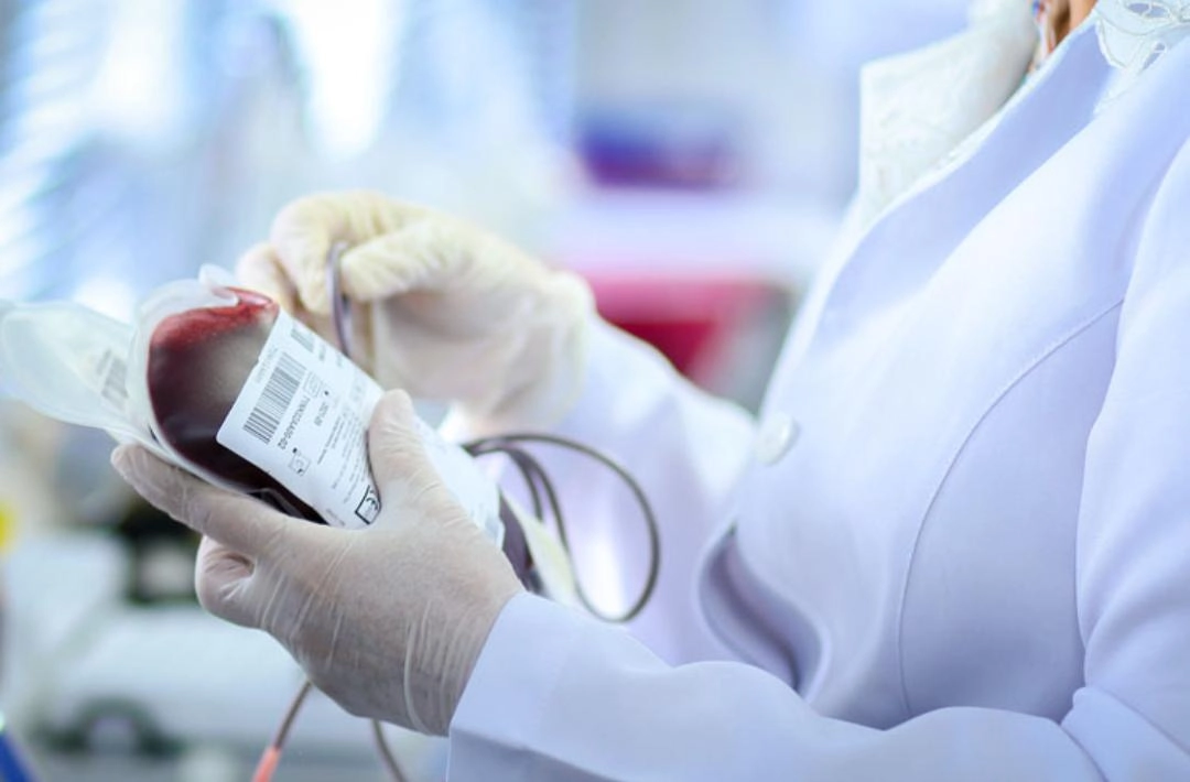 Projeto sugere converter multas de trânsito em doação de sangue no Piauí