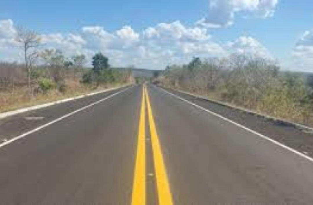 Veículo colide com bovino na BR-230 em trecho próximo ao antigo posto fiscal em Oeiras