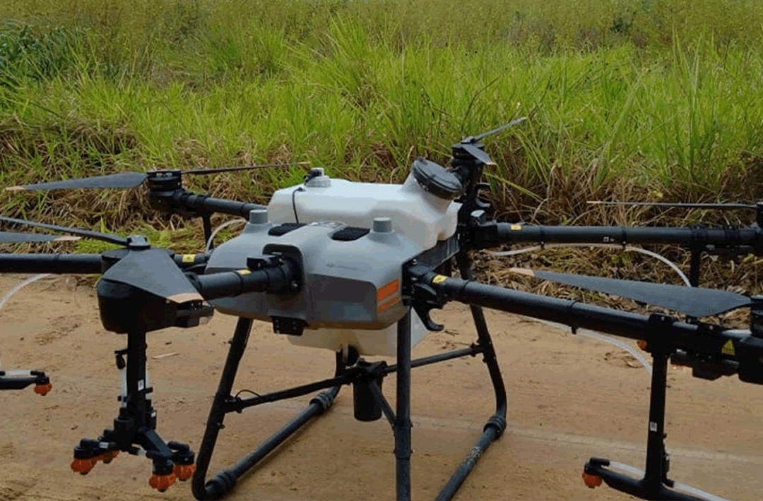 Agrotóxico aplicado por drone destrói lavoura e vira alvo de inquérito em Corrente