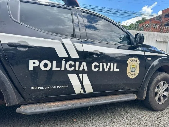Criminoso que buscava vítimas nas redes sociais para aplicar golpes é preso no Piauí