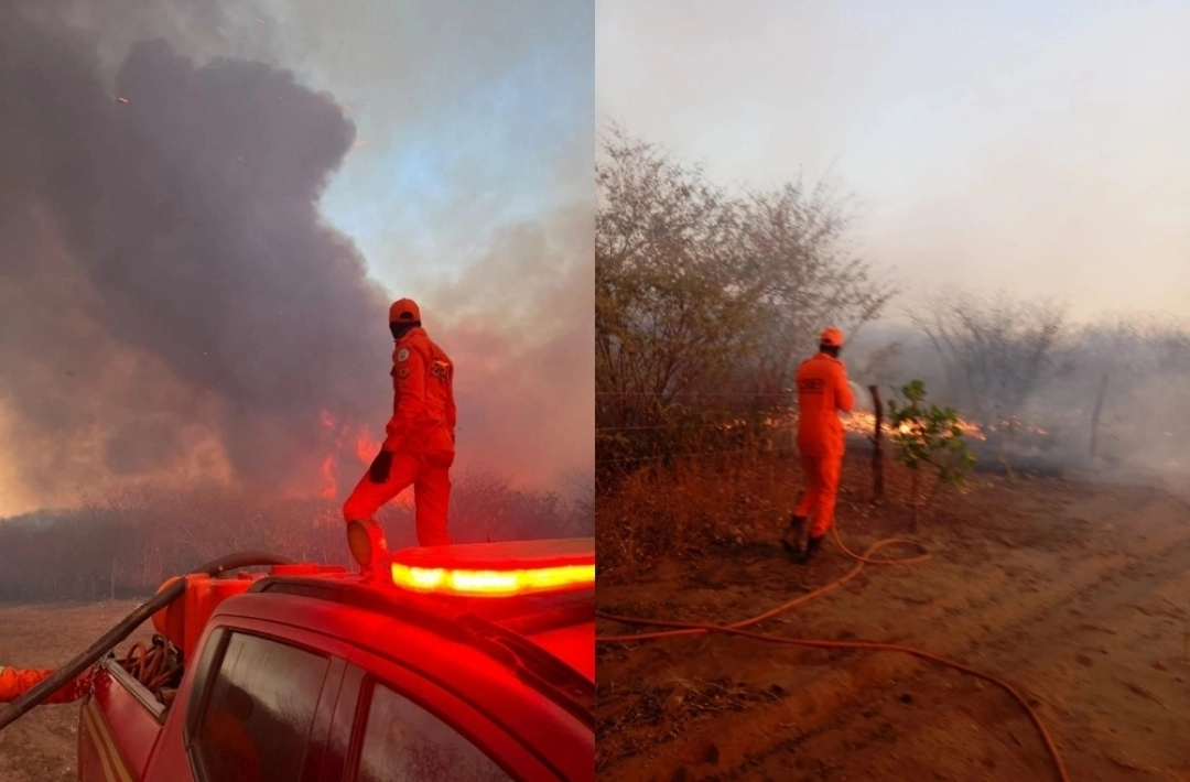 Incêndio de grandes proporções destrói vegetação em Dom Expedito Lopes