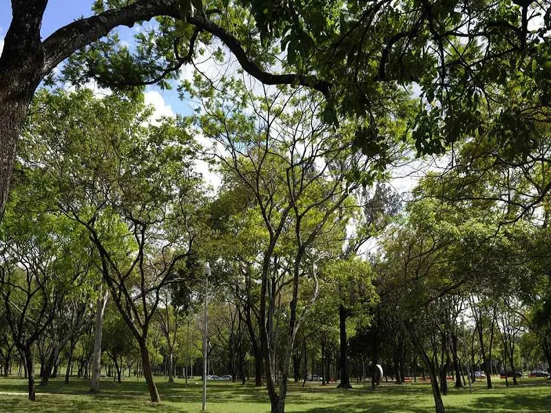 Oeiras não possui parque