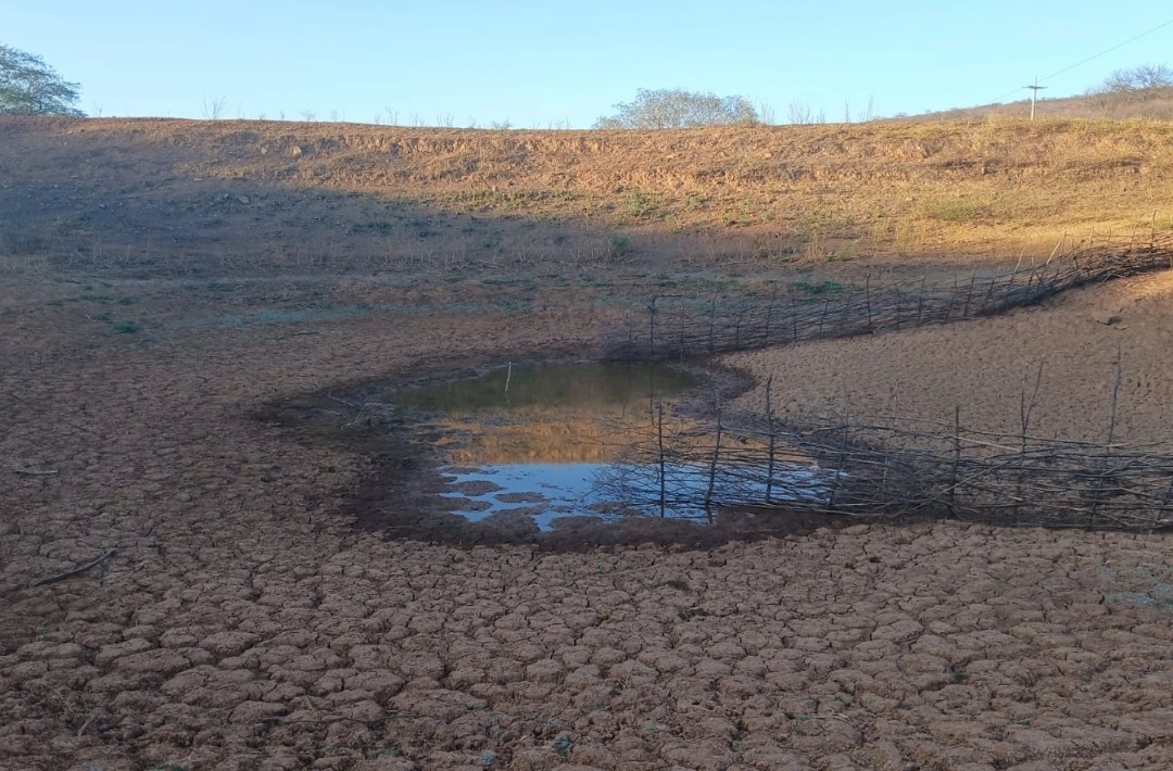 Piauí chega a 73 cidades em emergência por seca após decreto federal