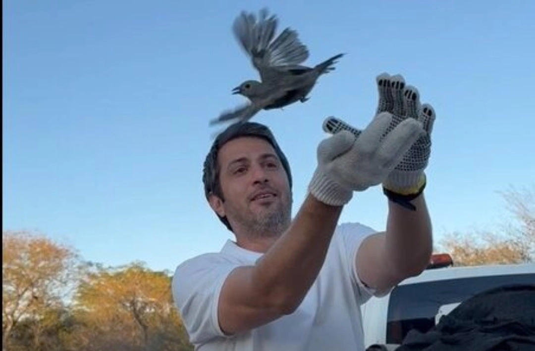Secretaria do Meio Ambiente já devolveu 154 animais silvestres à natureza em 2026