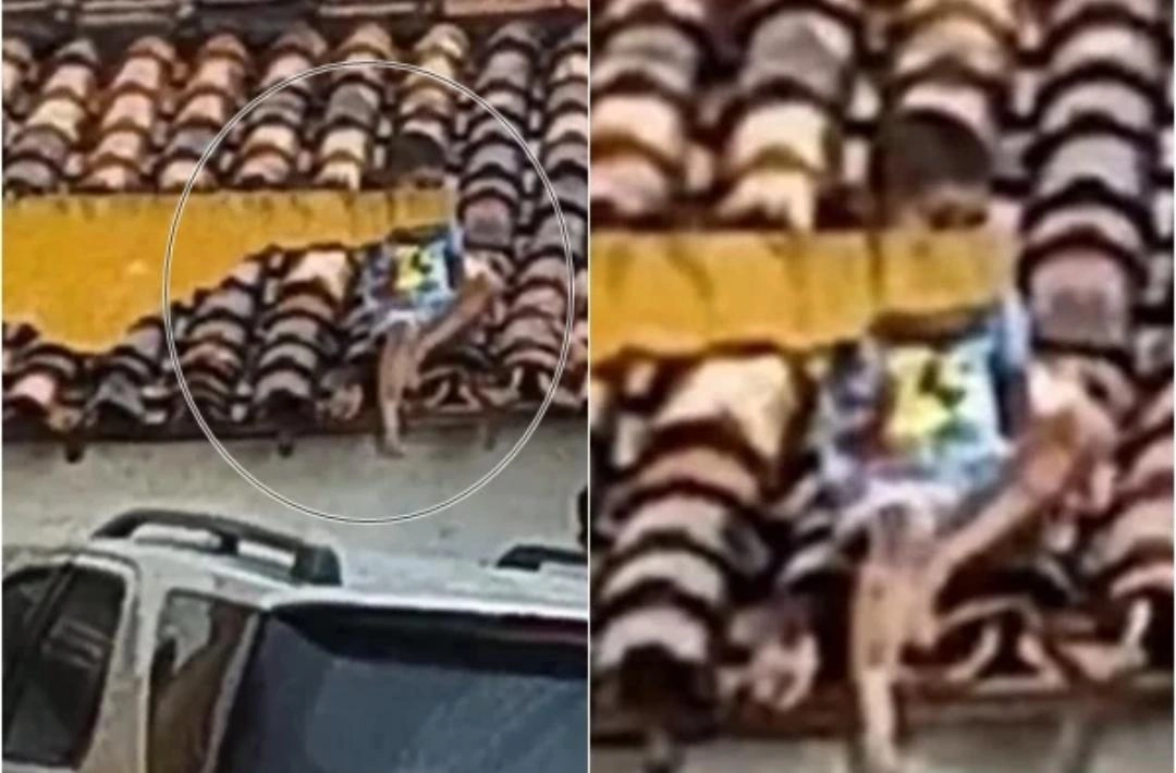 Criança é arremessada para telhado após ser atropelada por suspeitos em fuga; mãe e irmã morreram