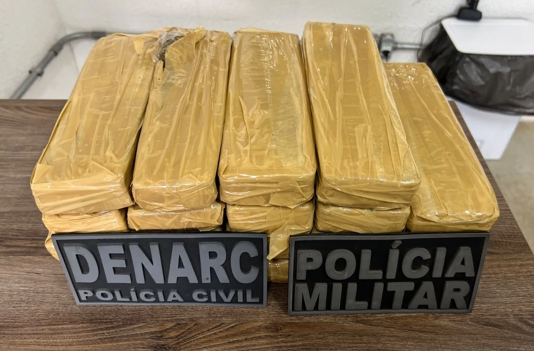 Carga com 14 kg de maconha é interceptada em transportadora na zona Sul de Teresina