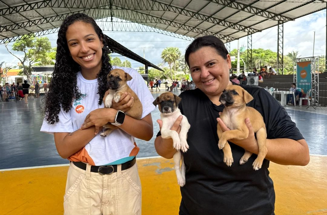 Semarh lança edital para entidades de acolhimento de animais vítimas de maus-tratos no Piauí