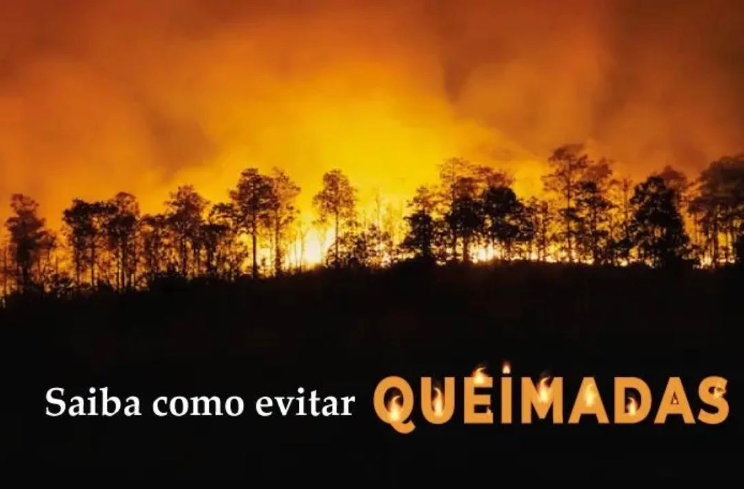 Governo do Estado lança Pacto Piauí Sem Queimadas para fortalecer a prevenção e combate aos incêndios florestais