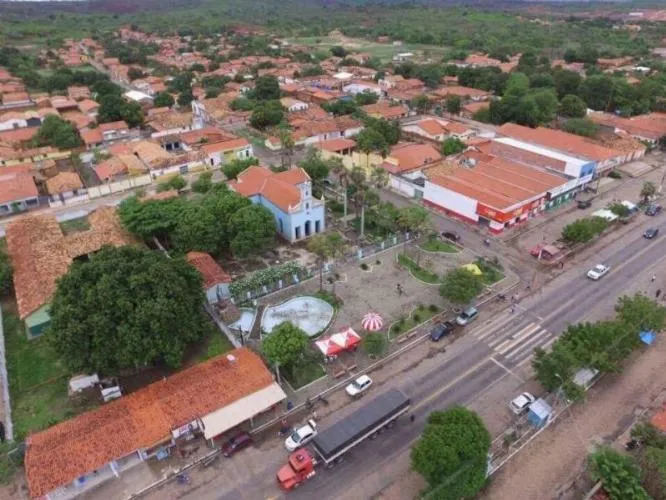 Homem é flagrado em vídeo bebendo sangue de gato em Demerval Lobão