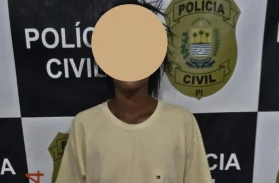 Mulher que matou homem a facada na rodoviária de Oeiras é solta após audiência de custódia