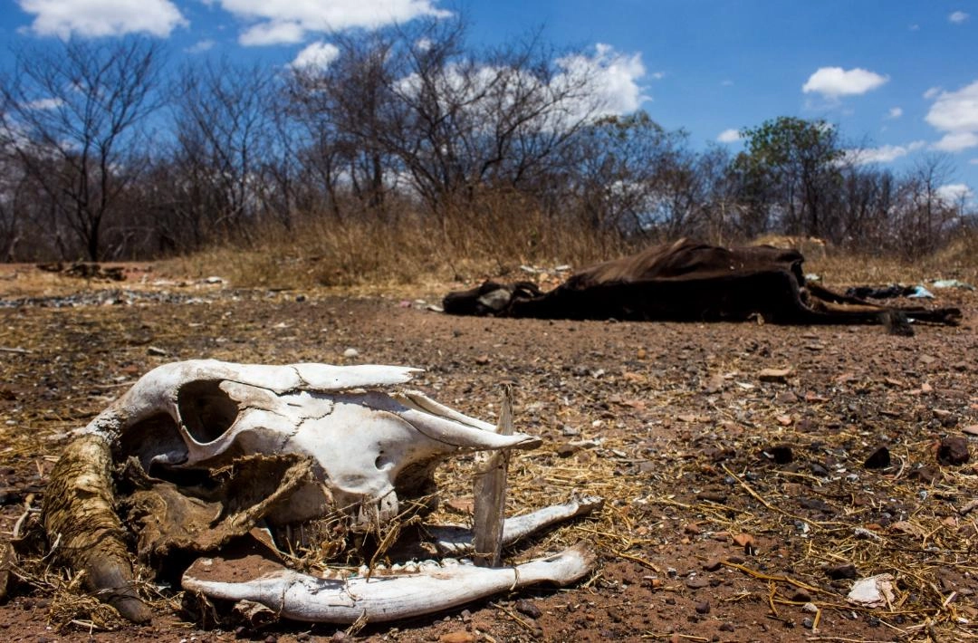 Após sete meses, Piauí zera municípios em seca extrema; alerta segue