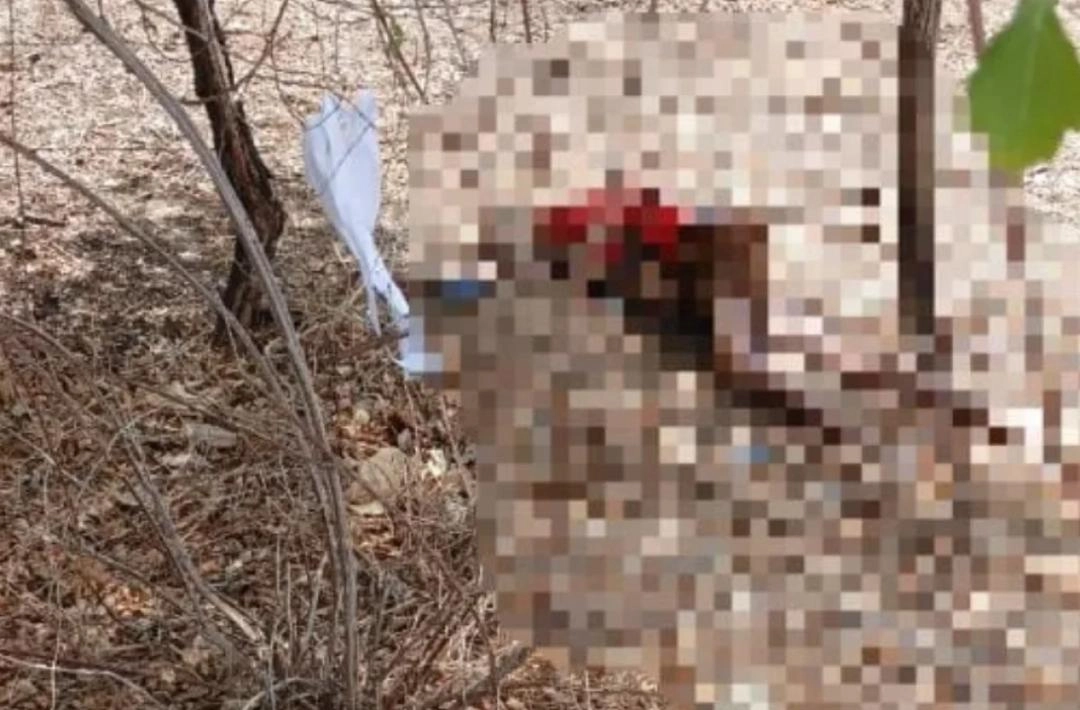 Idoso é encontrado morto após desaparecer e polícia prende suspeitos de crime em Francisco Santos