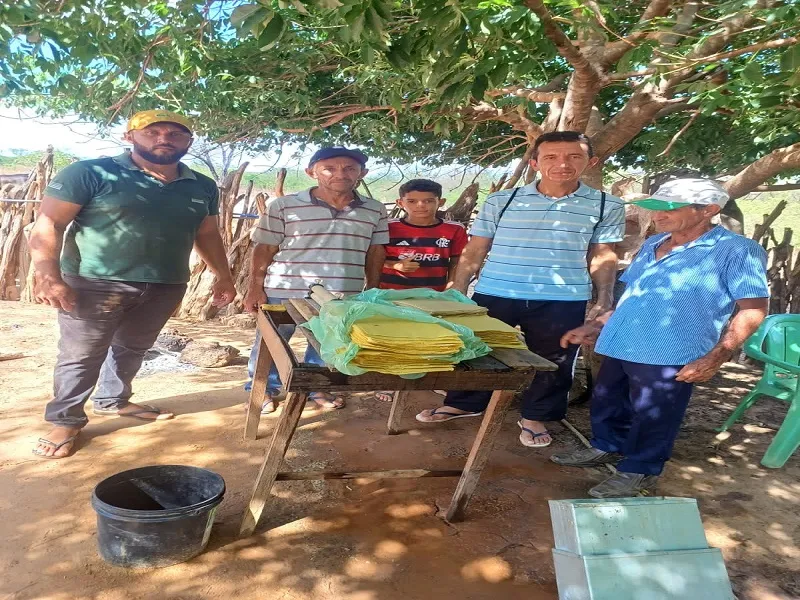 Estímulo à apicultura diversifica produção rural no município de Oeiras