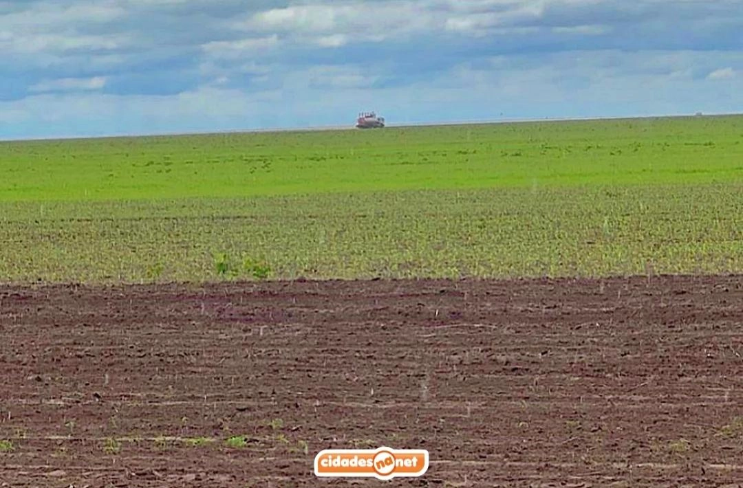 Uruçuí lidera exportações no Piauí e se destaca entre os 100 maiores PIBs per capita do Brasil