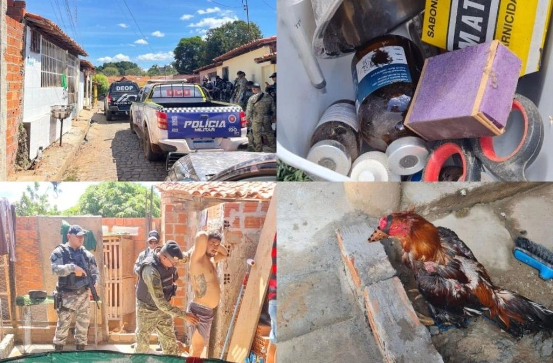 Quatro pessoas são presas por envolvimento com rinha de galos em Teresina