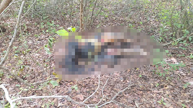 Corpo decapitado e carbonizado é encontrado em estrada que dá acesso à Lagoa do Portinho