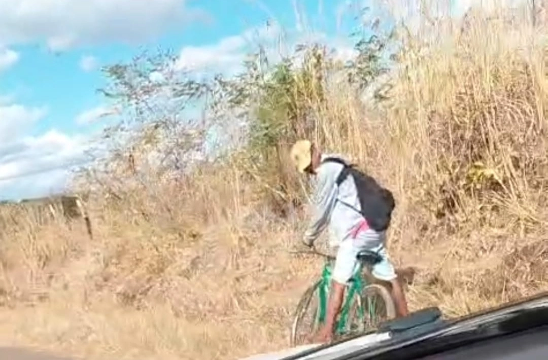 Vídeo enviado ao Corpo de Bombeiros mostra homem em atitude suspeita próximo a foco de incêndio em vegetação em Oeiras