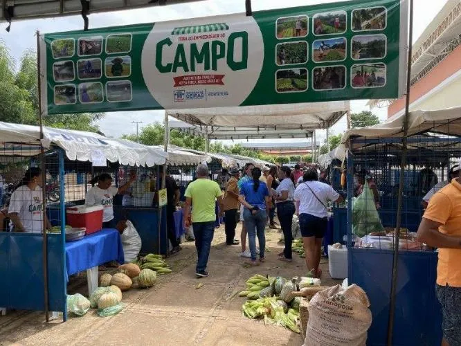 Feira do Empreendedor do Campo apresenta potencialidades da agricultura familiar em Oeiras