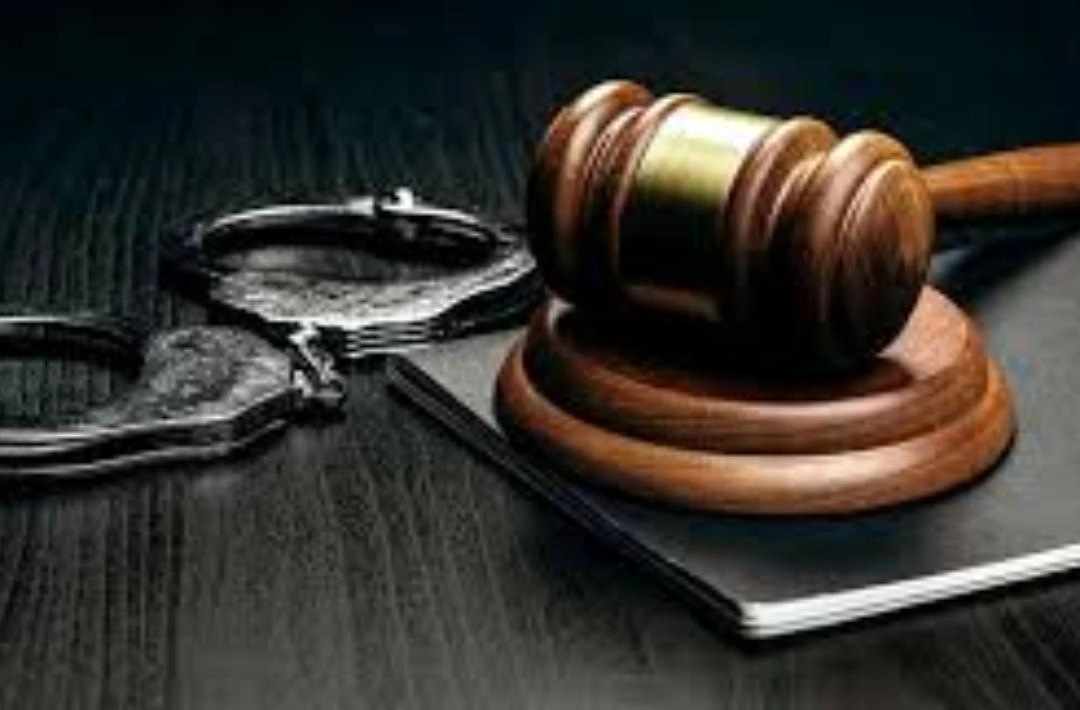 Casal preso com 47 kg de droga em Oeiras é colocado em liberdade após audiência de custódia