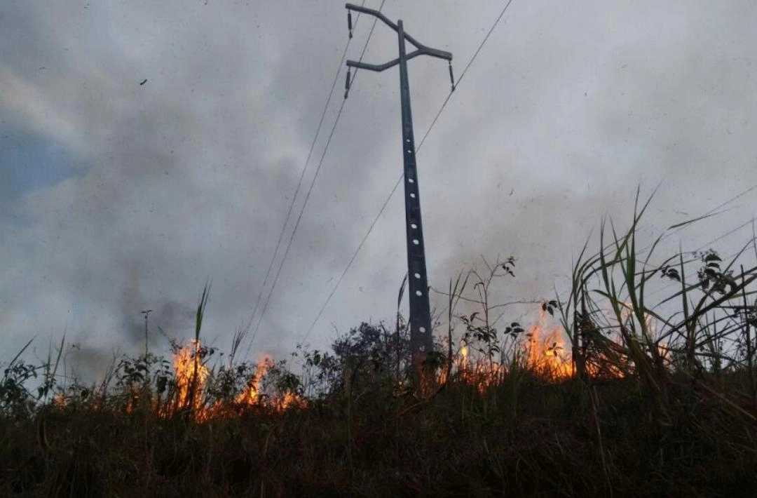 Ocorrências de falta de energia provocadas por queimadas crescem mais de 40% no primeiro semestre de 2025