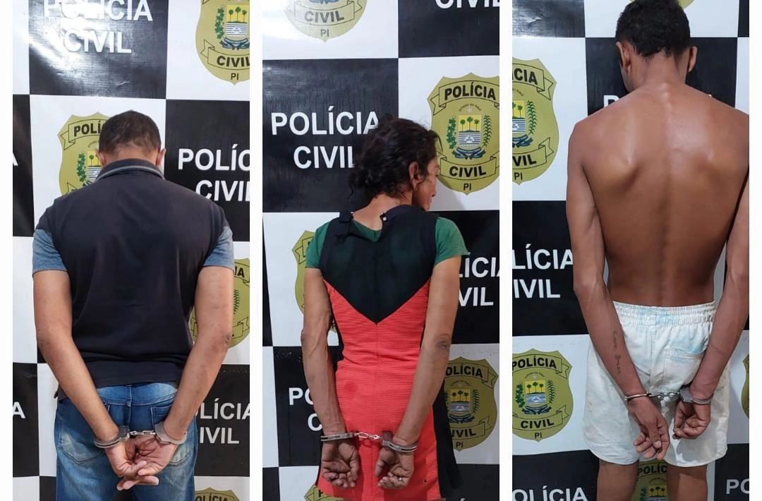 Polícia Civil cumpre três mandados de prisão contra suspeitos de furtos em Oeiras; câmeras flagram delinquente invadido casas