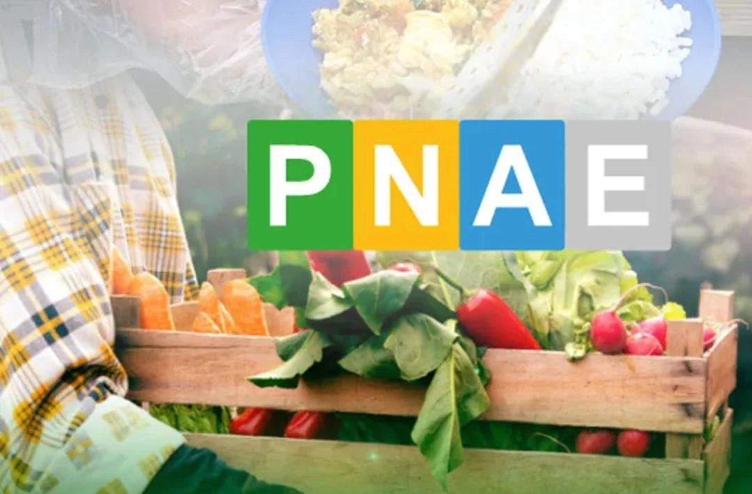 Prefeitura de Oeiras publica edital para compra de alimentos da agricultura familiar destinados à merenda escolar