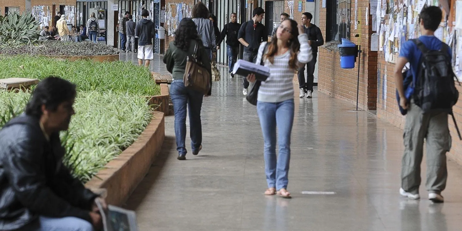 Professores da UnB aprovam greve a partir de 15 de abril: entenda os motivos da paralisação