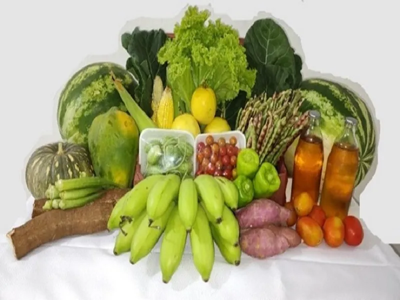 Oeiras receberá R$ 480 mil com adesão ao Programa de Aquisição de Alimentos (PAA)