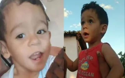 Criança de 2 anos morre atropelada ao tentar atravessar BR-020 em Pio IX