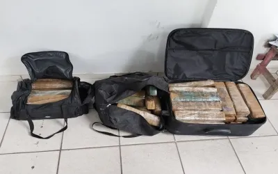 Polícia Civil incinera cerca de 70kg de drogas em Bom Jesus