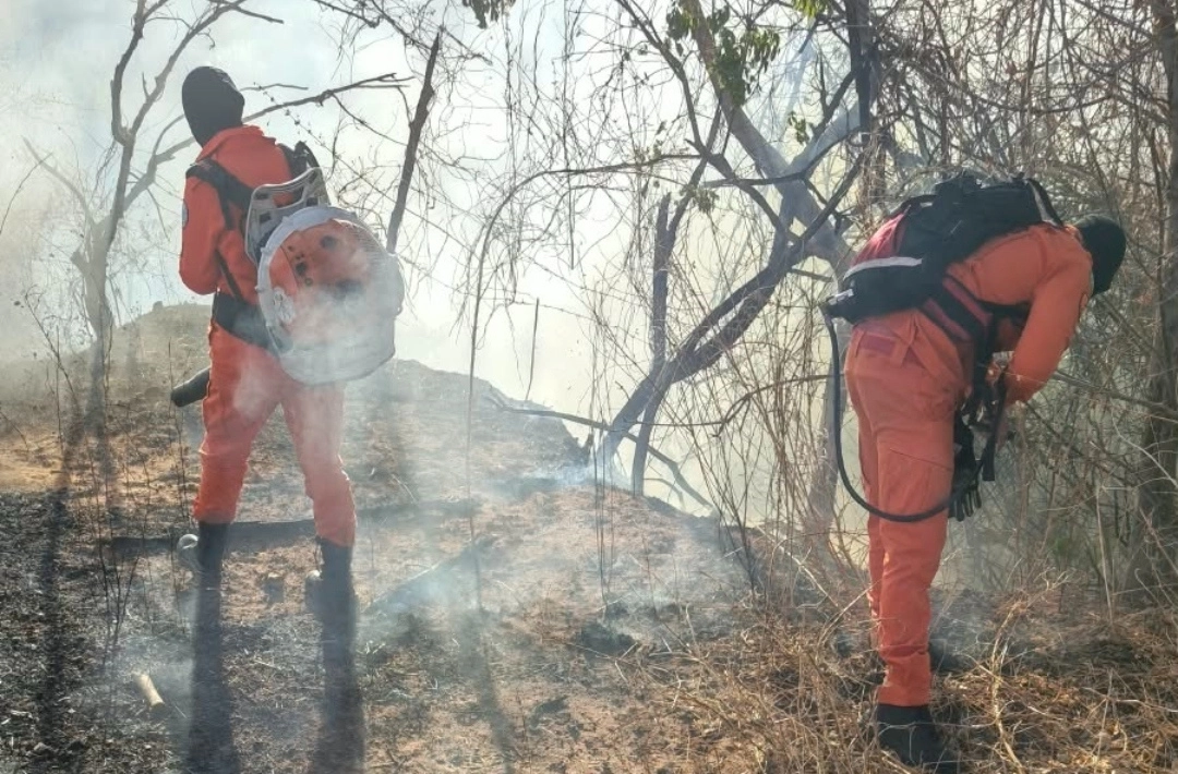 Incêndios duram até oito dias e ameaçam casas e animais em Bom Jesus; suspeita de ação humana