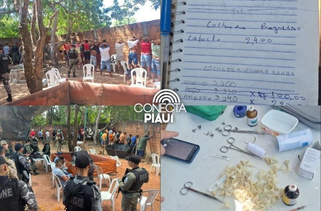 Polícia Militar desarticula rinha de galos e conduz 43 pessoas em Teresina