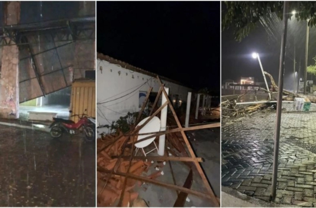 Temporal com ventos fortes derruba árvores e causa estragos em São Raimundo Nonato