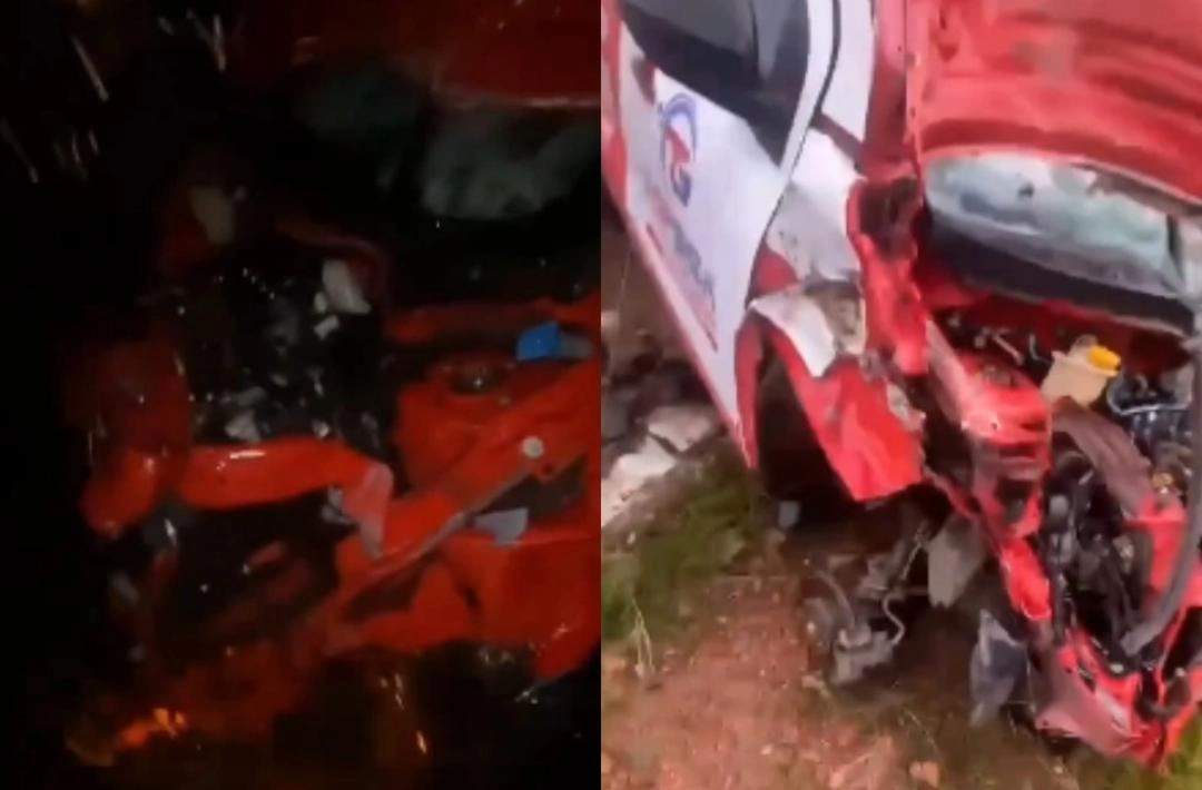 Caminhonete colide com animais na PI-223 e quatro bovinos morrem em Beneditinos